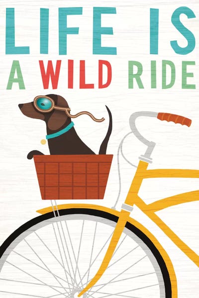 Dachshunds: Dachshund Bicycle II by Michael Mullan