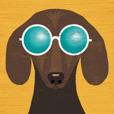 Dachshund I by Michael Mullan metal wall art