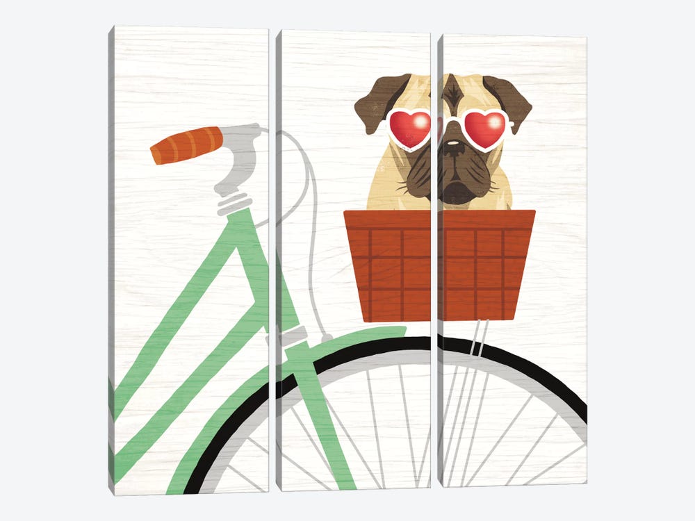Pug Bicycle I 3-piece Art Print