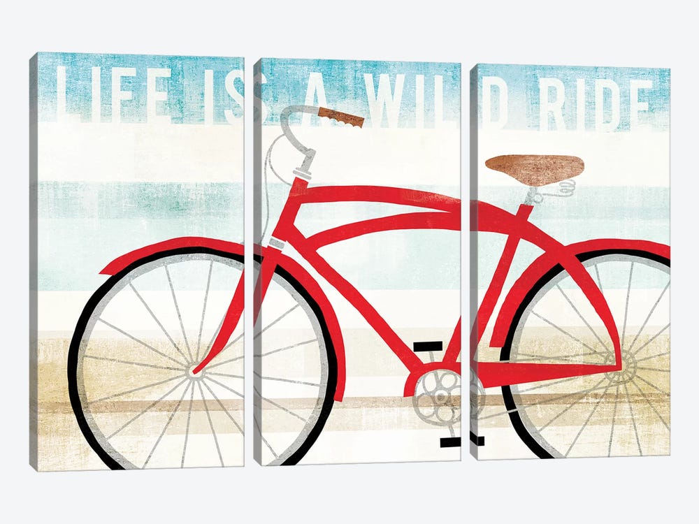 Life Is A Wild Ride by Michael Mullan 3-piece Canvas Art