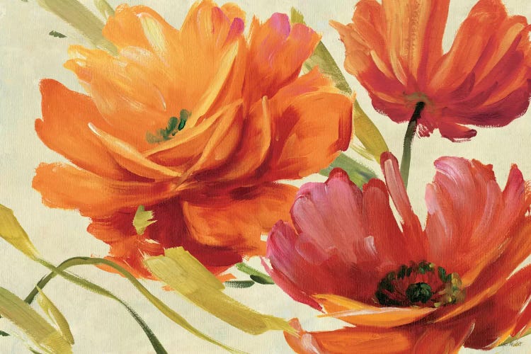 Flamboyant III by Lisa Audit wall art