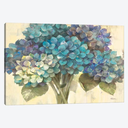 Turquoise Hydrangea Canvas Print #WAC62} by Albena Hristova Canvas Art Print