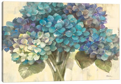 Turquoise Hydrangea Canvas Art Print - Hydrangea Art