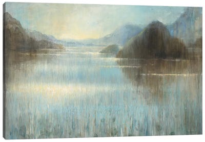 Through The Mist I Canvas Art Print - Danhui Nai