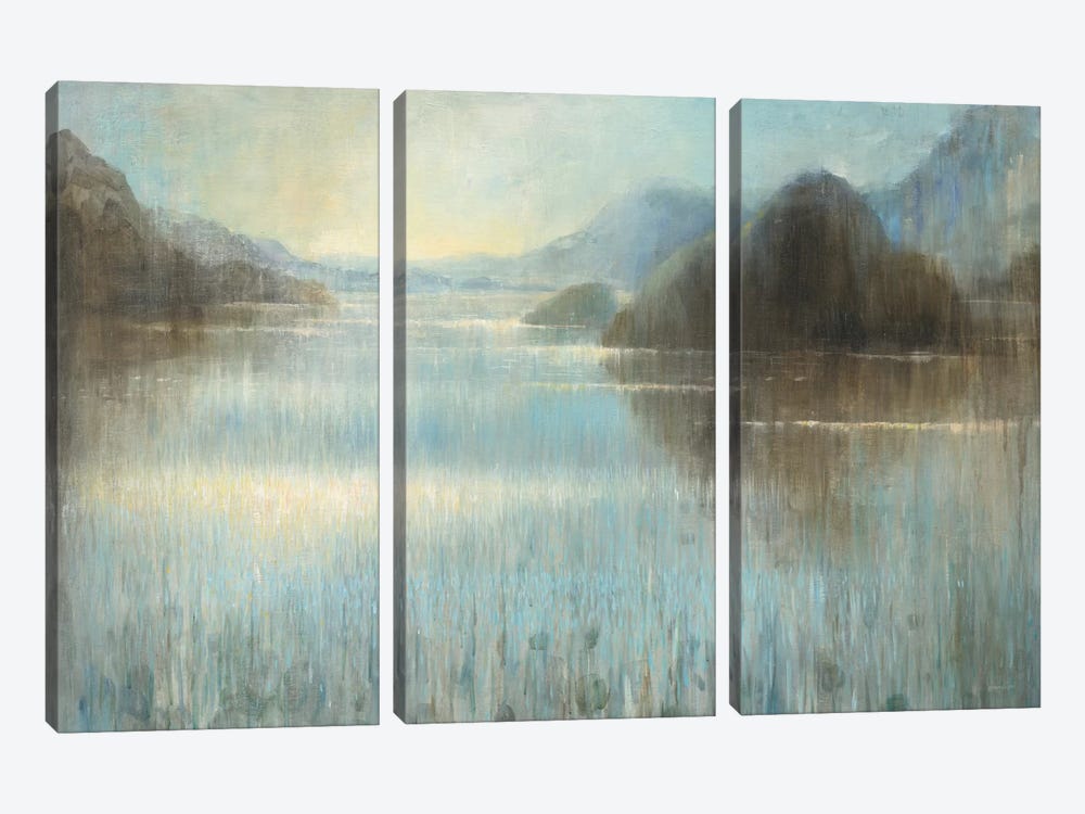 Through The Mist I by Danhui Nai 3-piece Canvas Artwork