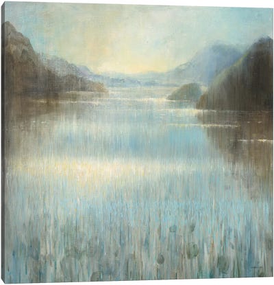 Through The Mist II Canvas Art Print - Danhui Nai