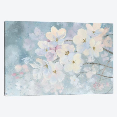 Splendid Bloom Canvas Print #WAC6390} by James Wiens Canvas Wall Art
