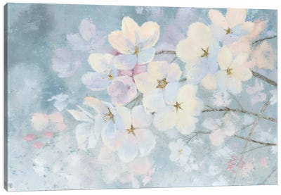 Splendid Bloom Canvas Art Print - Medical & Dental