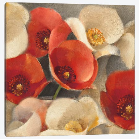 Poppies Bloom II Canvas Print #WAC63} by Albena Hristova Canvas Print
