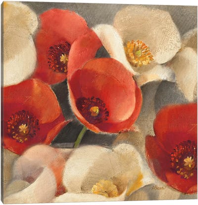 Poppies Bloom II Canvas Art Print - Albena Hristova