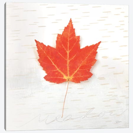 Autumn Colors I Canvas Print #WAC6405} by Sue Schlabach Art Print