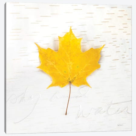 Autumn Colors II Canvas Print #WAC6406} by Sue Schlabach Canvas Print