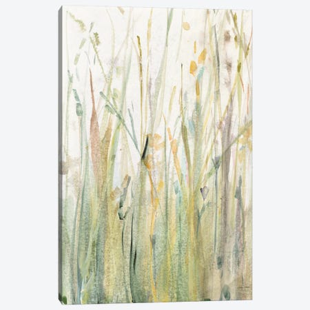 Spring Grasses I Canvas Print #WAC6422} by Avery Tillmon Canvas Artwork