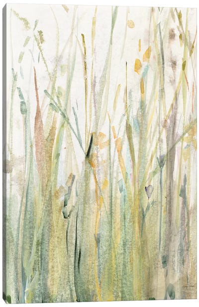 Spring Grasses I Canvas Art Print - Grasses