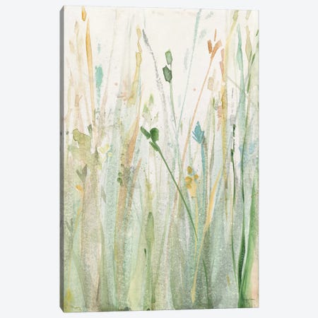 Spring Grasses II Canvas Print #WAC6423} by Avery Tillmon Canvas Artwork