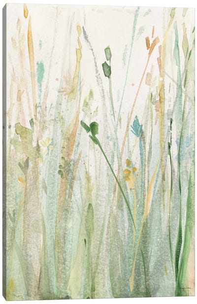 Spring Grasses II Canvas Art Print - Grass Art