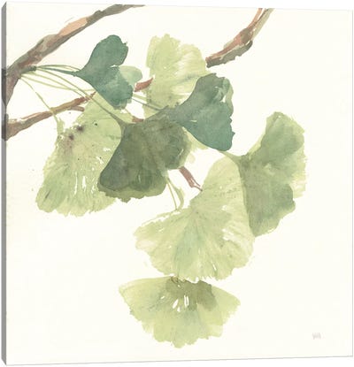 Light Gingko Leaves I Canvas Art Print - Herb Art