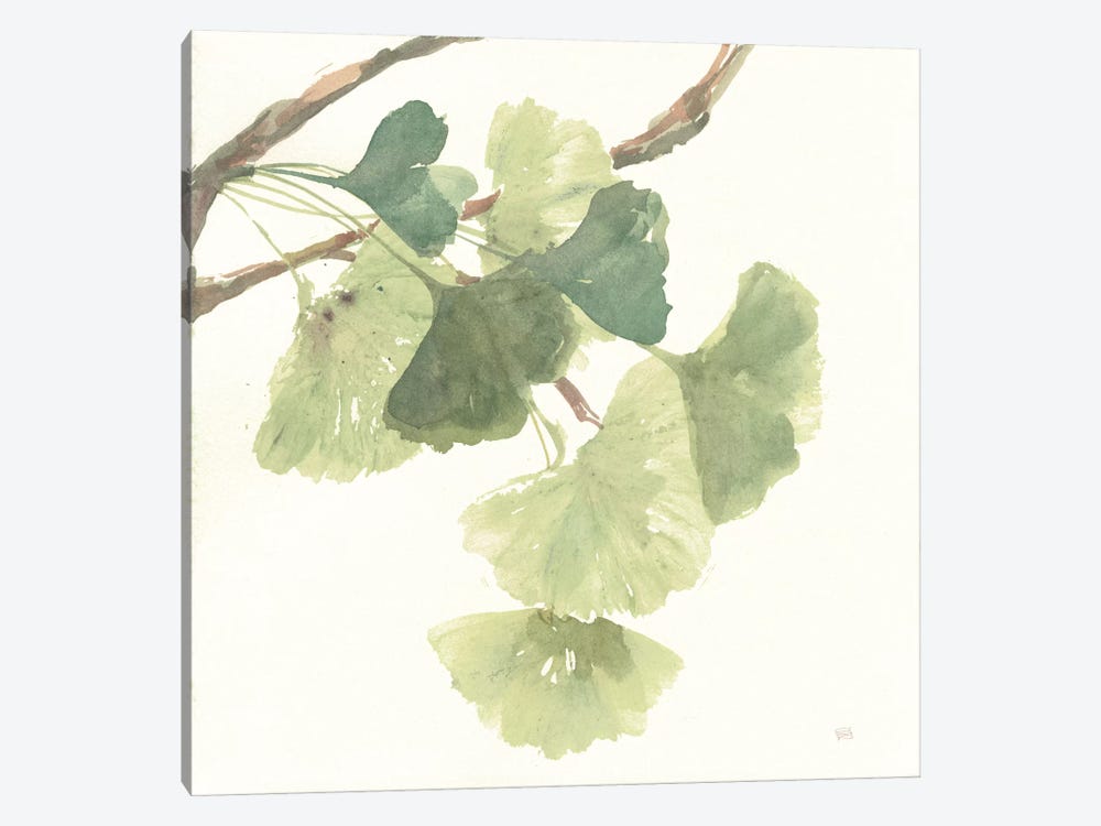 Light Gingko Leaves I by Chris Paschke 1-piece Canvas Art