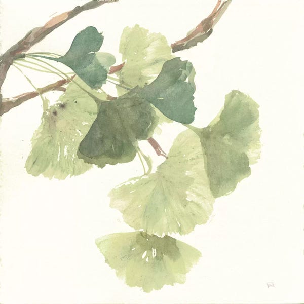 Gardening: Light Gingko Leaves I by Chris Paschke