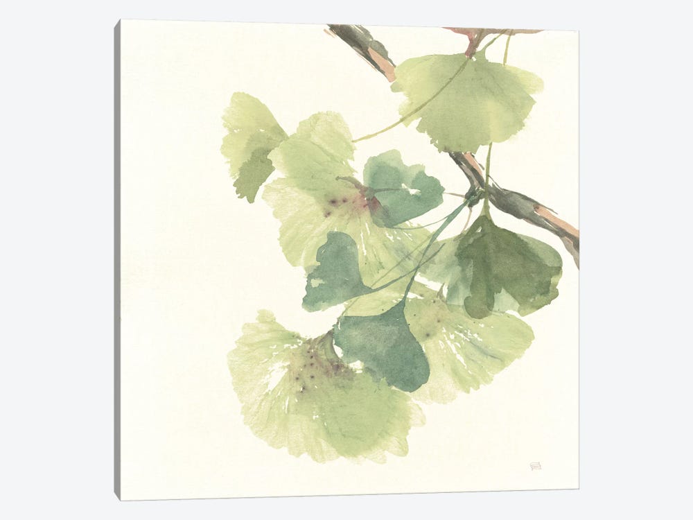 Light Gingko Leaves II by Chris Paschke 1-piece Canvas Print