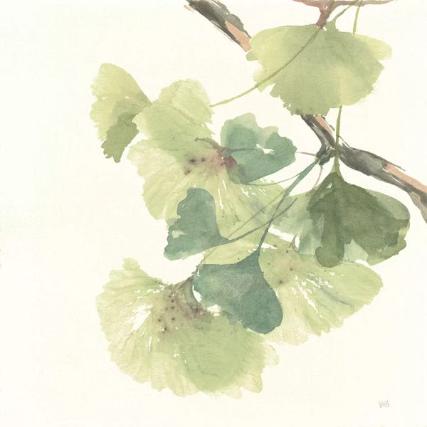 Spring: Light Gingko Leaves II by Chris Paschke
