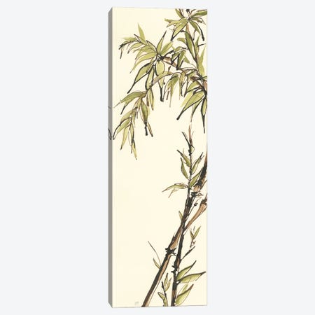 Summer Bamboo I Canvas Print #WAC6440} by Chris Paschke Canvas Art