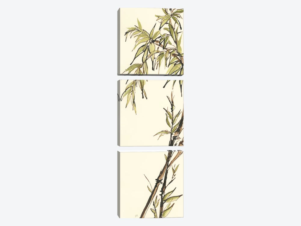Summer Bamboo I by Chris Paschke 3-piece Canvas Print