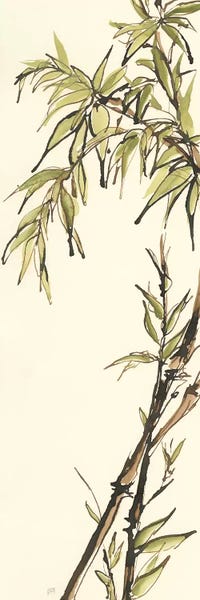 Bamboo: Summer Bamboo I by Chris Paschke