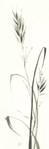 Grasses: Wild Grass II by Chris Paschke