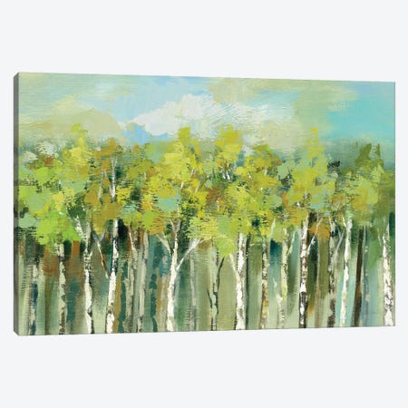 April Tree Tops Canvas Print #WAC6508} by Silvia Vassileva Canvas Print