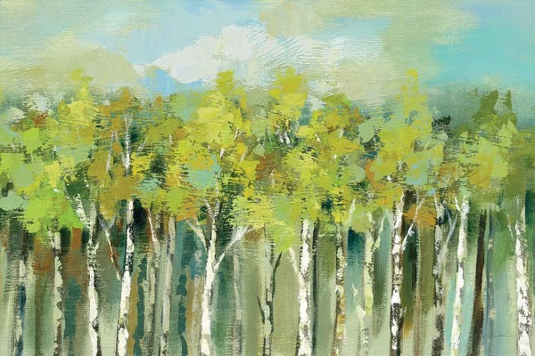 Silvia Vassileva: April Tree Tops by Silvia Vassileva