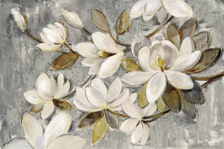 White Magnolias II Wall Art, Canvas Prints, Framed Prints, Wall Peels