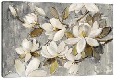 Magnolia Simplicity Canvas Art Print - Floral & Botanical Art