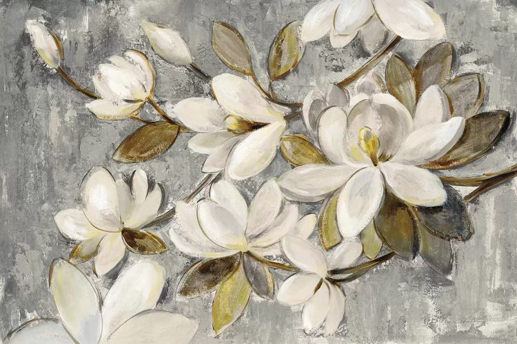 Magnolia Simplicity by Silvia Vassileva wall art