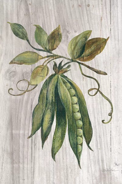 Gardening: Market Vegetables II by Silvia Vassileva