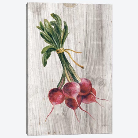 Market Vegetables III Canvas Print #WAC6524} by Silvia Vassileva Canvas Artwork