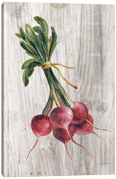 Market Vegetables III Canvas Art Print - Gardening Art