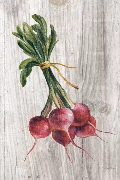 Gardening: Market Vegetables III by Silvia Vassileva