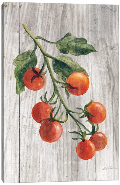 Market Vegetables IV Canvas Art Print - Gardening Art