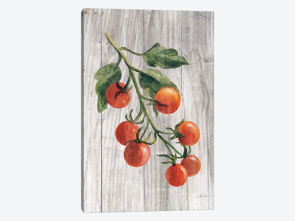 Market Vegetables IV by Silvia Vassileva 1-piece Canvas Print