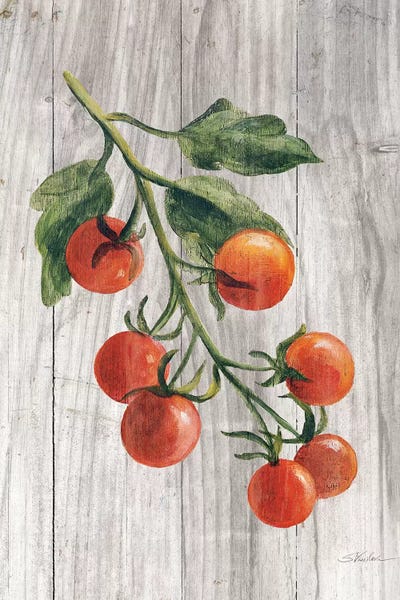 Gardening: Market Vegetables IV by Silvia Vassileva