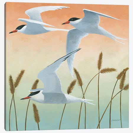 Free As A Bird II Canvas Print #WAC6560} by Kathrine Lovell Art Print