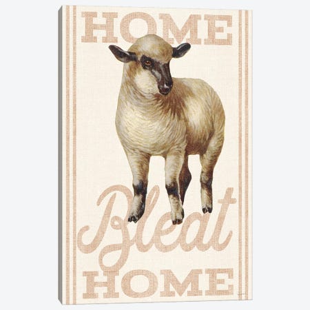 Home Bleat Home Canvas Print #WAC6593} by Sue Schlabach Canvas Wall Art