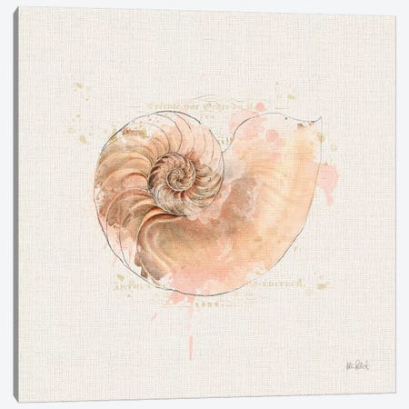 Shell Collector II Canvas Print #WAC6620} by Katie Pertiet Canvas Wall Art