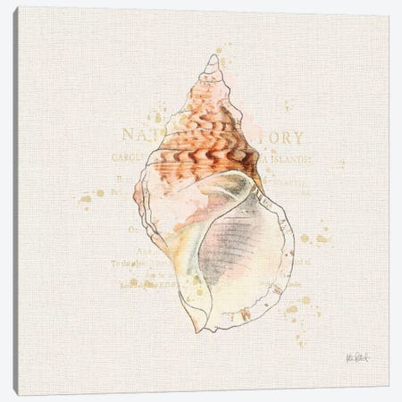 Shell Collector III Canvas Print #WAC6621} by Katie Pertiet Canvas Artwork