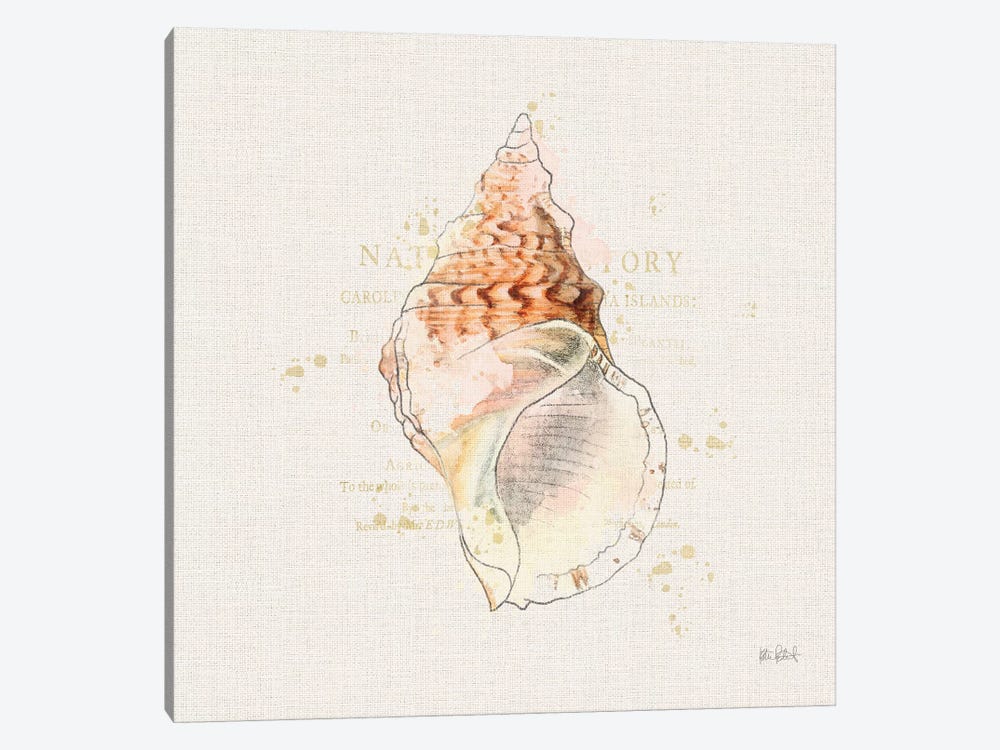 Shell Collector III by Katie Pertiet 1-piece Canvas Print