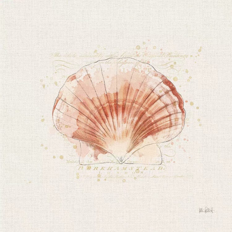 Shell Collector IV by Katie Pertiet wall art