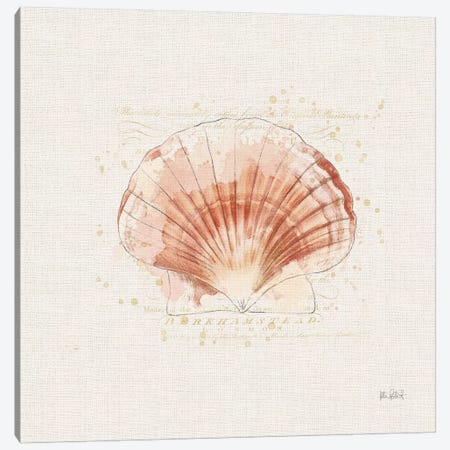Shell Collector IV Canvas Print #WAC6622} by Katie Pertiet Canvas Art