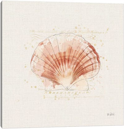 Shell Collector IV Canvas Art Print - Katie Pertiet