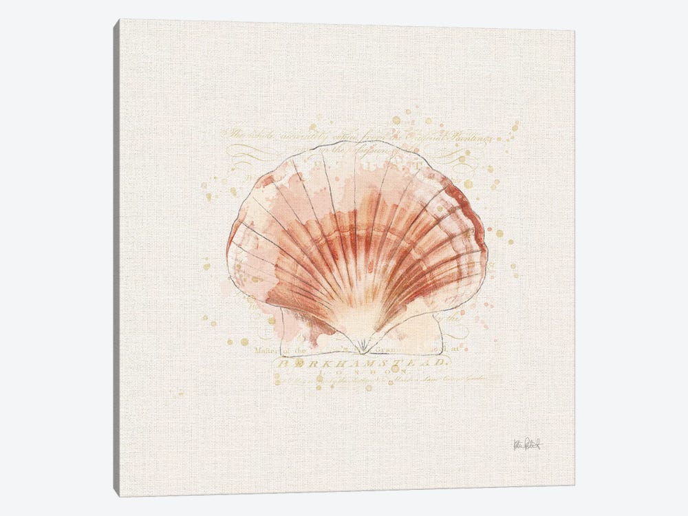 Shell Collector IV by Katie Pertiet 1-piece Canvas Artwork